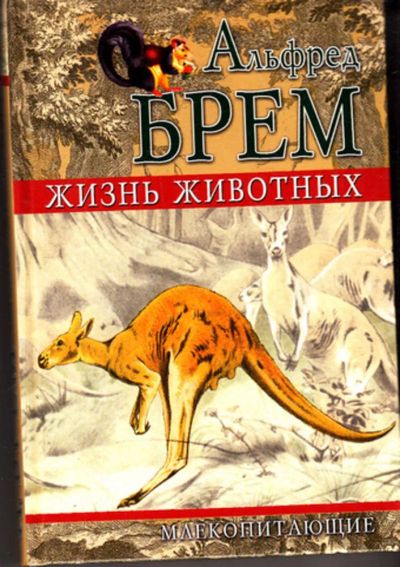 Лот: 23443077. Фото: 1. Жизнь животных: Млекопитающие... Домашние животные