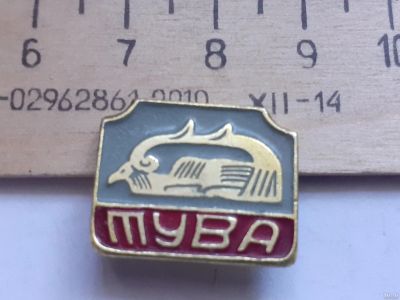 Лот: 18244910. Фото: 1. ( №11430) значки,Тува,фон серый... Сувенирные