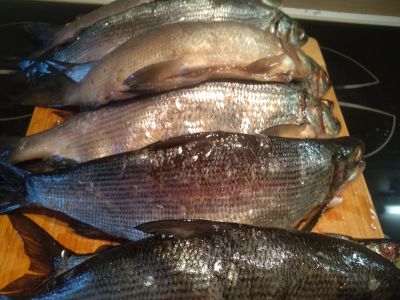 Лот: 15094382. Фото: 1. Пелядь малосольная. Нежная, вкусная. Икра, рыба, морепродукты