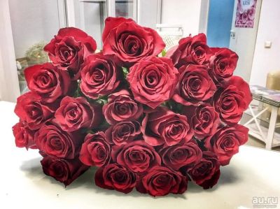 Лот: 8518977. Фото: 1. 25 красных Эквадорских роз! Огромный... Свежие цветы