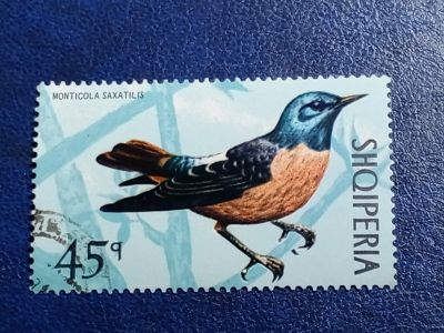 Лот: 25896441. Фото: 1. Марки Флоры и Фауны. лот №-94058. Марки