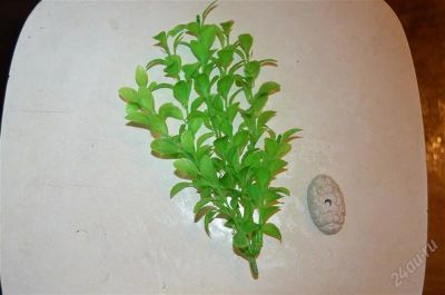 Лот: 2687137. Фото: 1. Водоросли искусственные 3. Грунты, украшения, наполнения