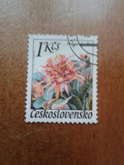 Лот: 25633615. Фото: 1. Марка Чехословакия 1980 (2). Марки