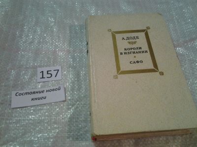 Лот: 6696197. Фото: 1. (1092322) Короли в изгнании. Сафо... Художественная