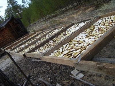 Лот: 3182314. Фото: 1. Белый гриб сушеный. Грибы