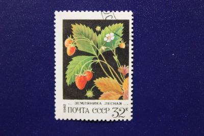 Лот: 6849545. Фото: 1. Почтовая марка №4015 в коллекцию. Марки