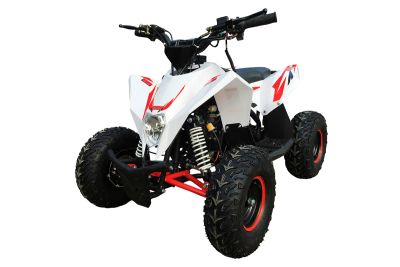 Лот: 25362303. Фото: 1. Квадроцикл MOTAX GEKKON 90cc. Снегоходы, квадроциклы