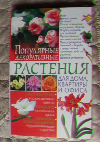 Лот: 7577996. Фото: 1. Книга "Популярные декоративные... Сад, огород, цветы