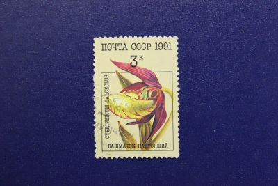 Лот: 7359141. Фото: 1. Почтовая марка №4805 в коллекцию. Марки
