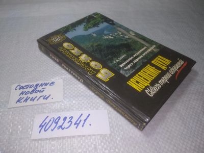 Лот: 25268287. Фото: 1. (4092341)Бойко Александр. Исцеление... Религия, оккультизм, эзотерика