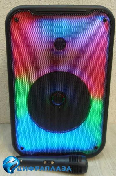 Лот: 19700517. Фото: 1. Колонка ELTRONIC 08" 20-57 (BT... Портативные, беспроводные колонки