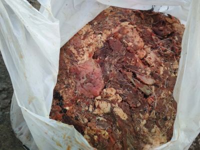 Лот: 17345934. Фото: 1. Свежее мясо без костей для собак... Корма