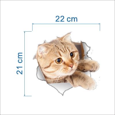 Лот: 11407524. Фото: 1. 3 д наклейка 2. Интерьерные наклейки