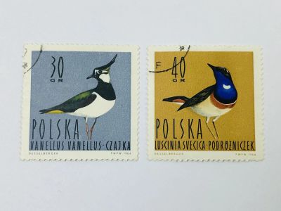 Лот: 23964402. Фото: 1. Водоплавающие птицы. Чибис. Варакушка... Марки