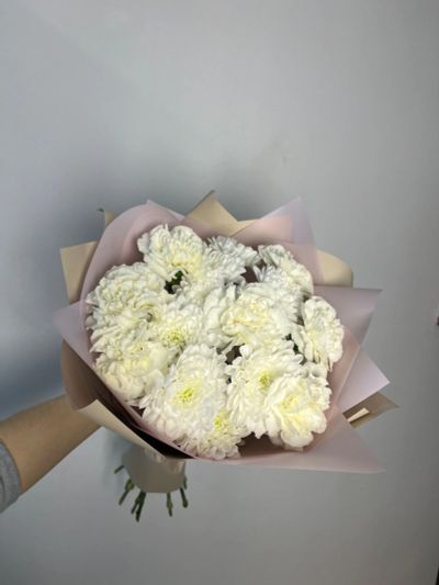 Лот: 25025890. Фото: 1. Букет из хризантемы и диантусов. Свежие цветы