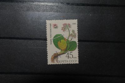 Лот: 4402425. Фото: 1. 1985 Лекарственные растения Сибири... Марки