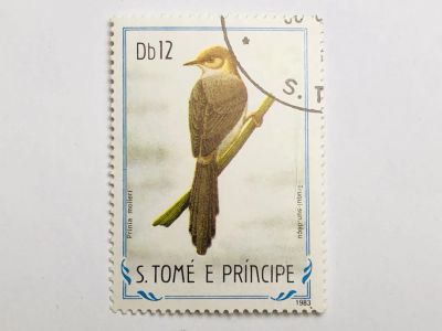 Лот: 23316645. Фото: 1. Птицы. 12 добр. Фауна. Сан-Томе... Марки