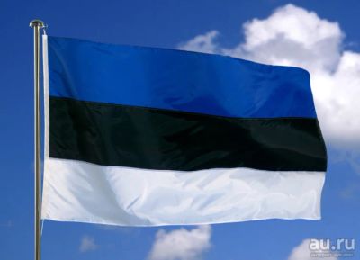 Лот: 13534432. Фото: 1. Флаг Эстонии 150 на 90 см. Флаги, гербы