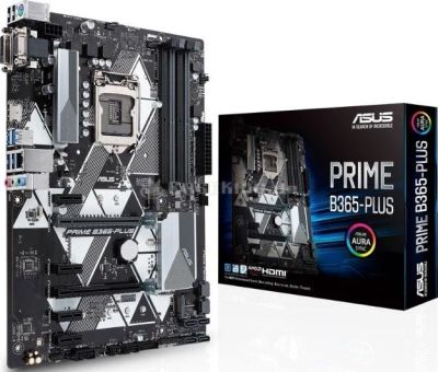 Лот: 16370139. Фото: 1. Материнская плата ASUS PRIME B365-PLUS. Материнские платы