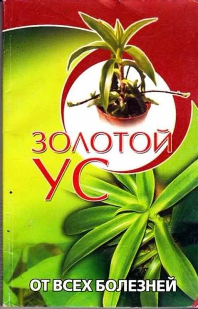 Лот: 12261752. Фото: 1. Золотой ус от всех болезней. Популярная и народная медицина