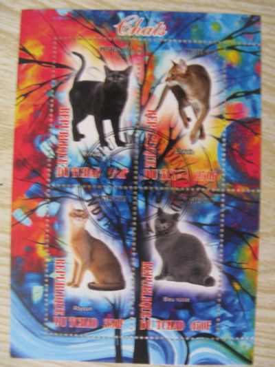 Лот: 16913140. Фото: 1. Марки. Чад год. 2013 год. Кошки... Марки