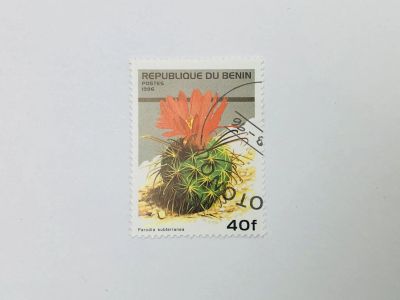 Лот: 23314080. Фото: 1. Кактусы. Пародия субтерранеа... Марки