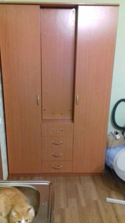 Лот: 8175909. Фото: 1. шкаф. Шкафы, шкафы-купе