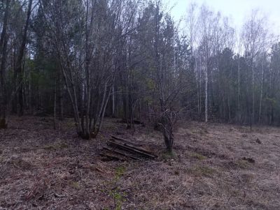 Лот: 25710524. Фото: 1. Участок 15 сот. (СНТ, ДНП). Земельные участки
