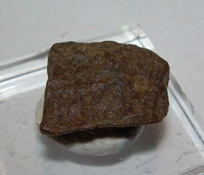 Лот: 5178393. Фото: 1. Метеорит. NWA, хондрит, Алжир-Марокко... Минералы и окаменелости