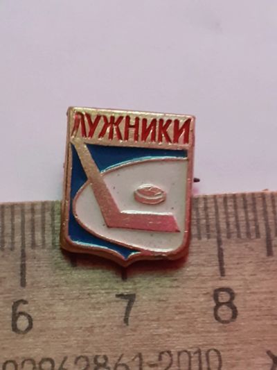 Лот: 21106402. Фото: 1. (№15833) значки,спорт,Лужники... Сувенирные