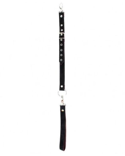 Лот: 24252821. Фото: 1. Поводок для ошейника Lady's Arsenal... Украшения