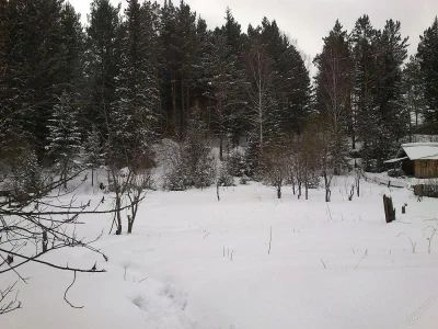 Лот: 4827672. Фото: 1. Участок 17 соток п.Береть ИЖС. Земельные участки