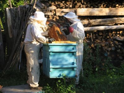 Лот: 4635563. Фото: 1. Продам мед. С деревни Качулька... Мёд, продукты пчеловодства