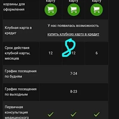 Лот: 11127045. Фото: 1. Клубная карта well fit. Фитнес, аэробика и гимнастика