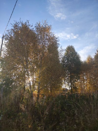 Лот: 25257147. Фото: 1. Земельный участок. Земельные участки