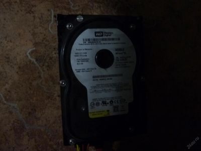 Лот: 5543596. Фото: 1. жесткий диск Western Digital 80... Жёсткие диски (HDD)