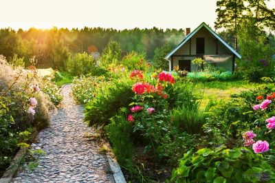 Лот: 15996436. Фото: 1. Куплю дачу до 400 000 т.р. Дачи