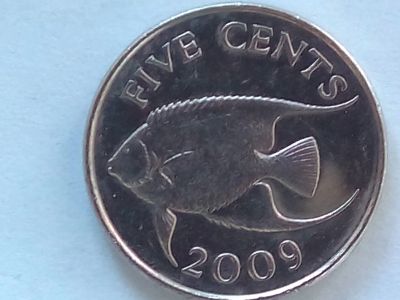 Лот: 18793811. Фото: 1. Монета Бермудов 5 центов, 2009. Остальные страны