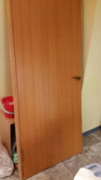 Лот: 4913549. Фото: 1. Продам дверь. Двери входные