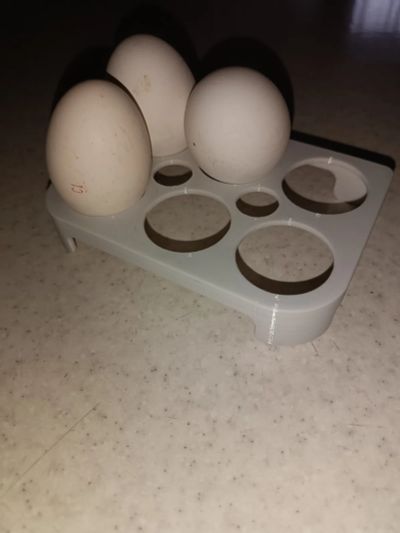 Лот: 20077200. Фото: 1. Лоток под яйца в дверку холодильника. Другое (бытовая техника)
