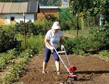 Лот: 3832829. Фото: 1. Продам дачу!. Дачи