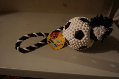 Лот: 14407713. Фото: 1. Игрушка для собаки мяч с веревкой. Игрушки для животных