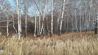 Лот: 6410693. Фото: 1. Земельный участок 5,2 га в 3 км... Земельные участки