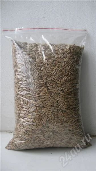 Лот: 250964. Фото: 1. Рожь для проращивания. Другое (продукты)