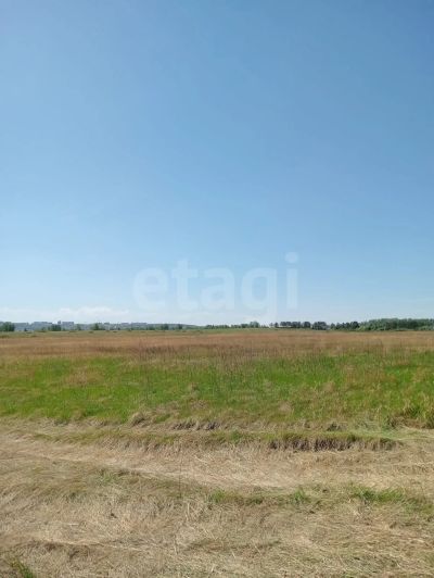 Лот: 25578896. Фото: 1. участок , коттеджный посёлок Светлоград... Земельные участки