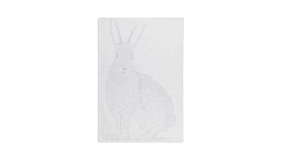 Лот: 25638150. Фото: 1. Полотенце кухонное White Rabbit. Полотенца