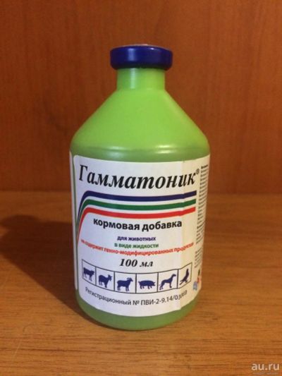 Лот: 15789524. Фото: 1. Гамматоник 100 мл. Лекарства для животных, ветеринарные препараты