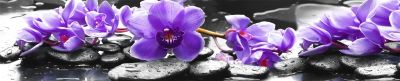 Лот: 11035929. Фото: 1. Фартук для кухни Орхидеи фиолет... Кухонные гарнитуры