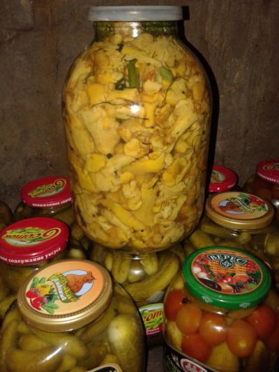 Лот: 2557220. Фото: 1. грибы лисички !!!соленые!!!. Грибы