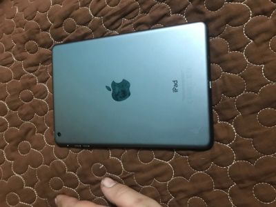 Лот: 14951320. Фото: 1. ipad mini (не забрали). Планшеты